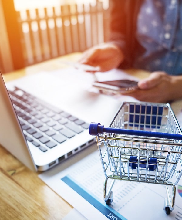 eCommerce Development
