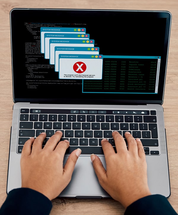 Custom Web App Development