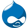Hire Drupal Developers