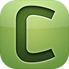 Celery