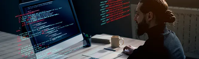 Web Development Company