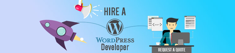 hire wordpress developer