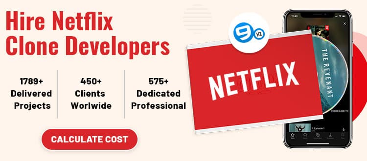hire netflix app developer