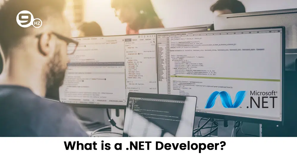 what is .net developer
