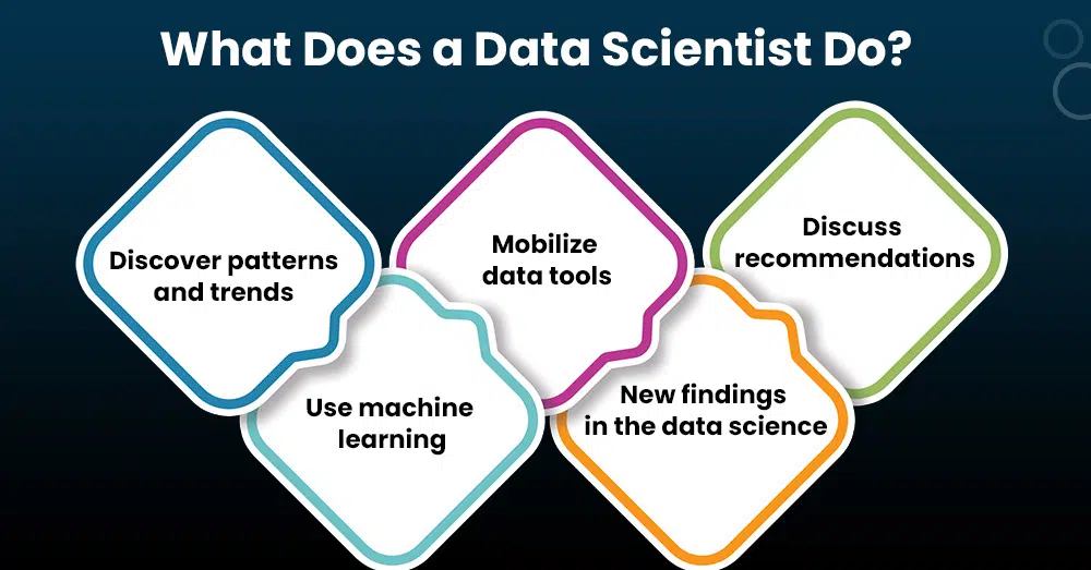 what does a data scientist do