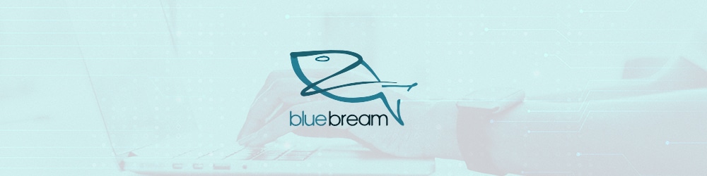 BlueBream-web development framework