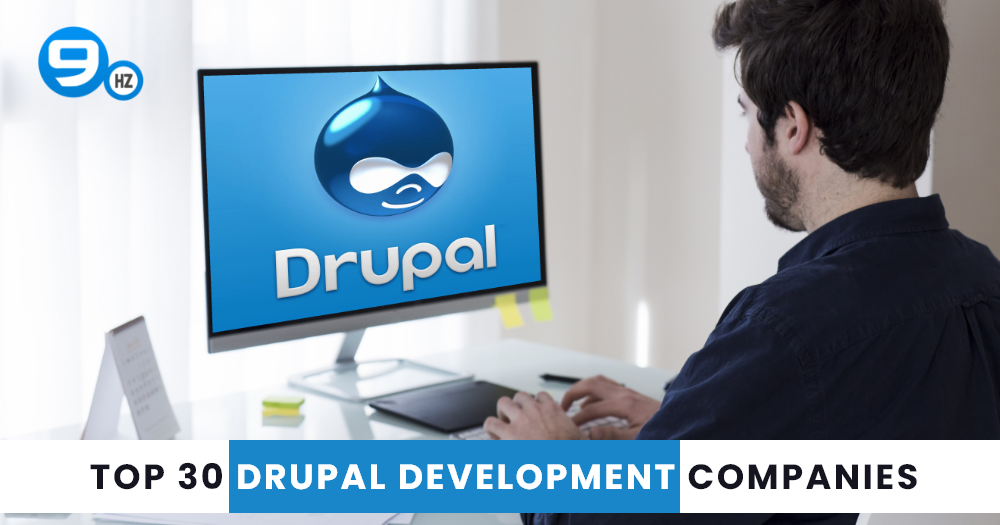 30 Best Drupal Development Companies (2023)