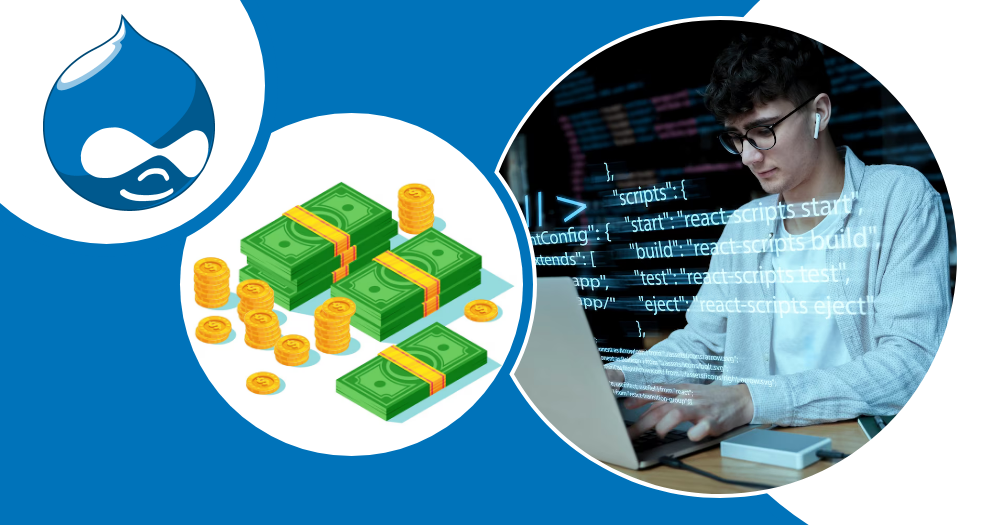 Drupal Development services Cost