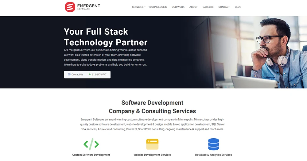 Emergent Software