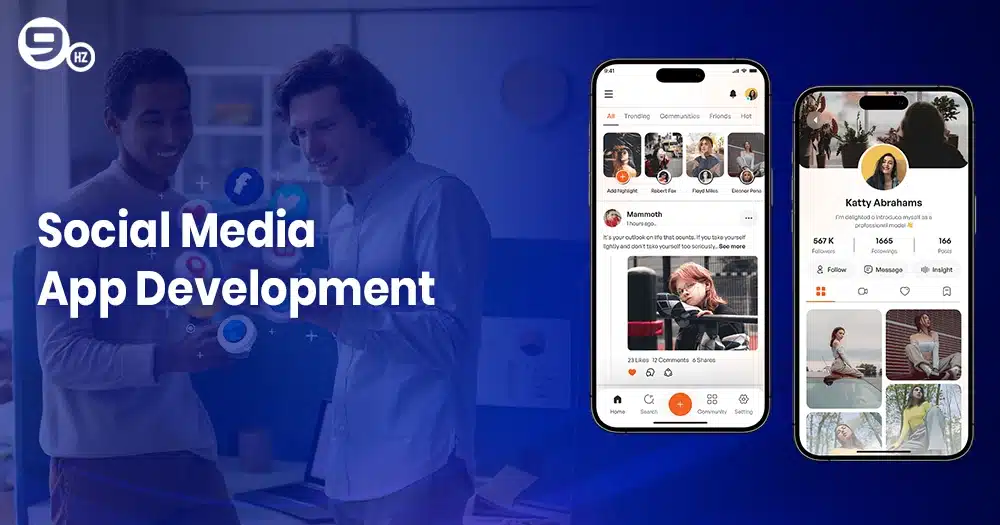 sweden social media app cost