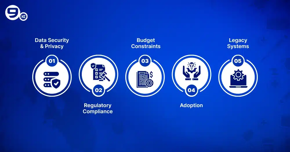 Healthcare Software Development Challenges.webp