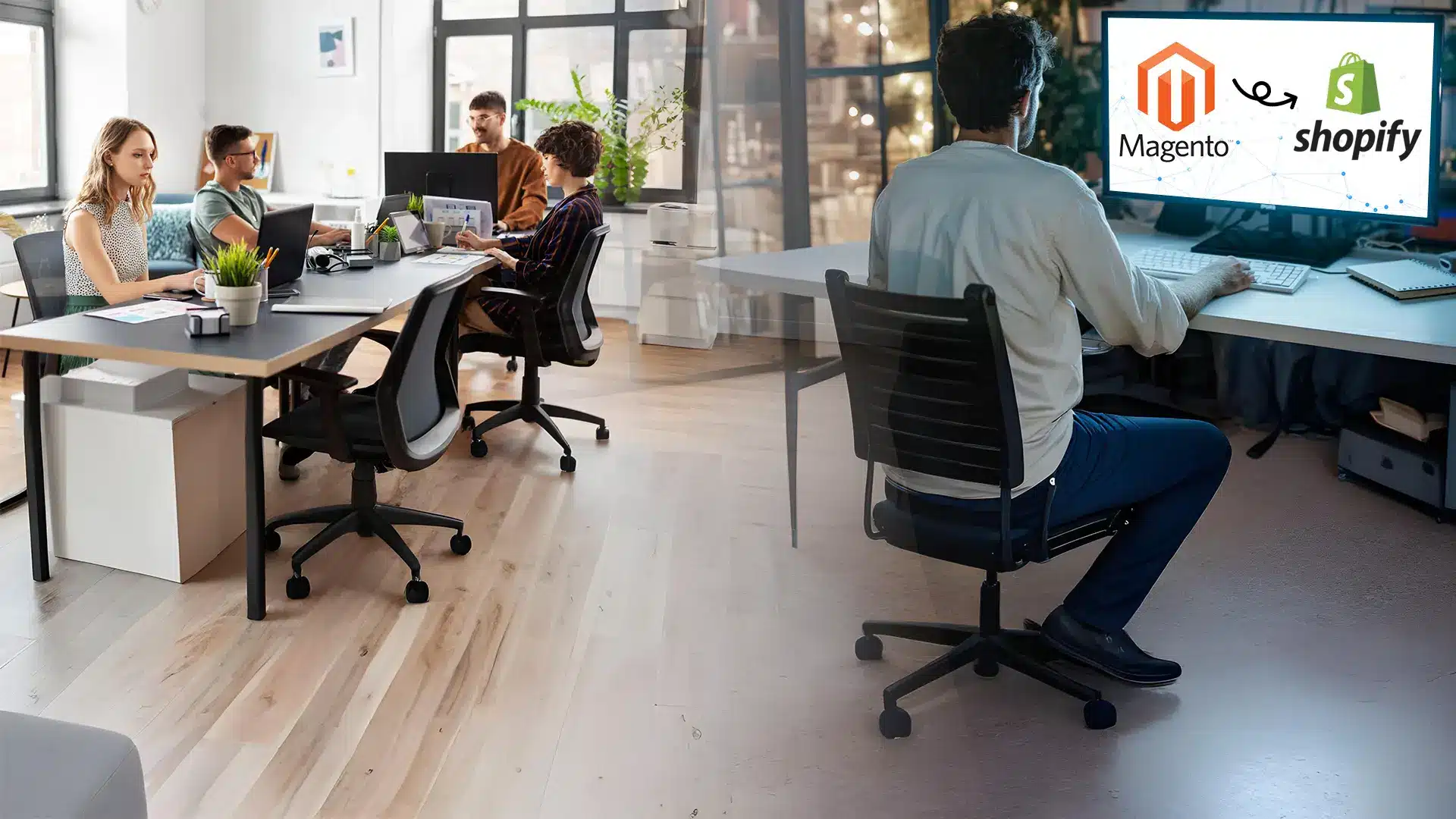 Software Product Development