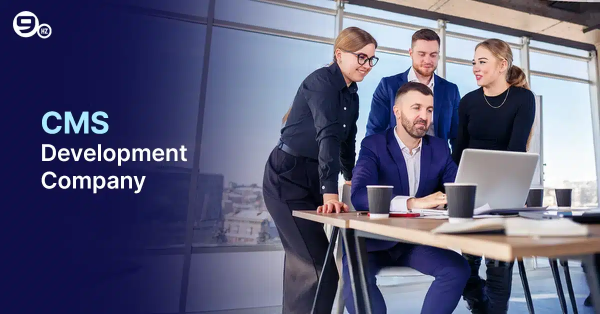 CMS Development Company & Services : The Nineherts