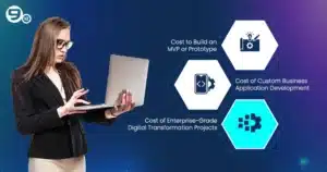 Cost breakdown by type of software project